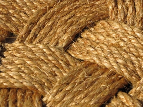 Des cordes en fibres organiques